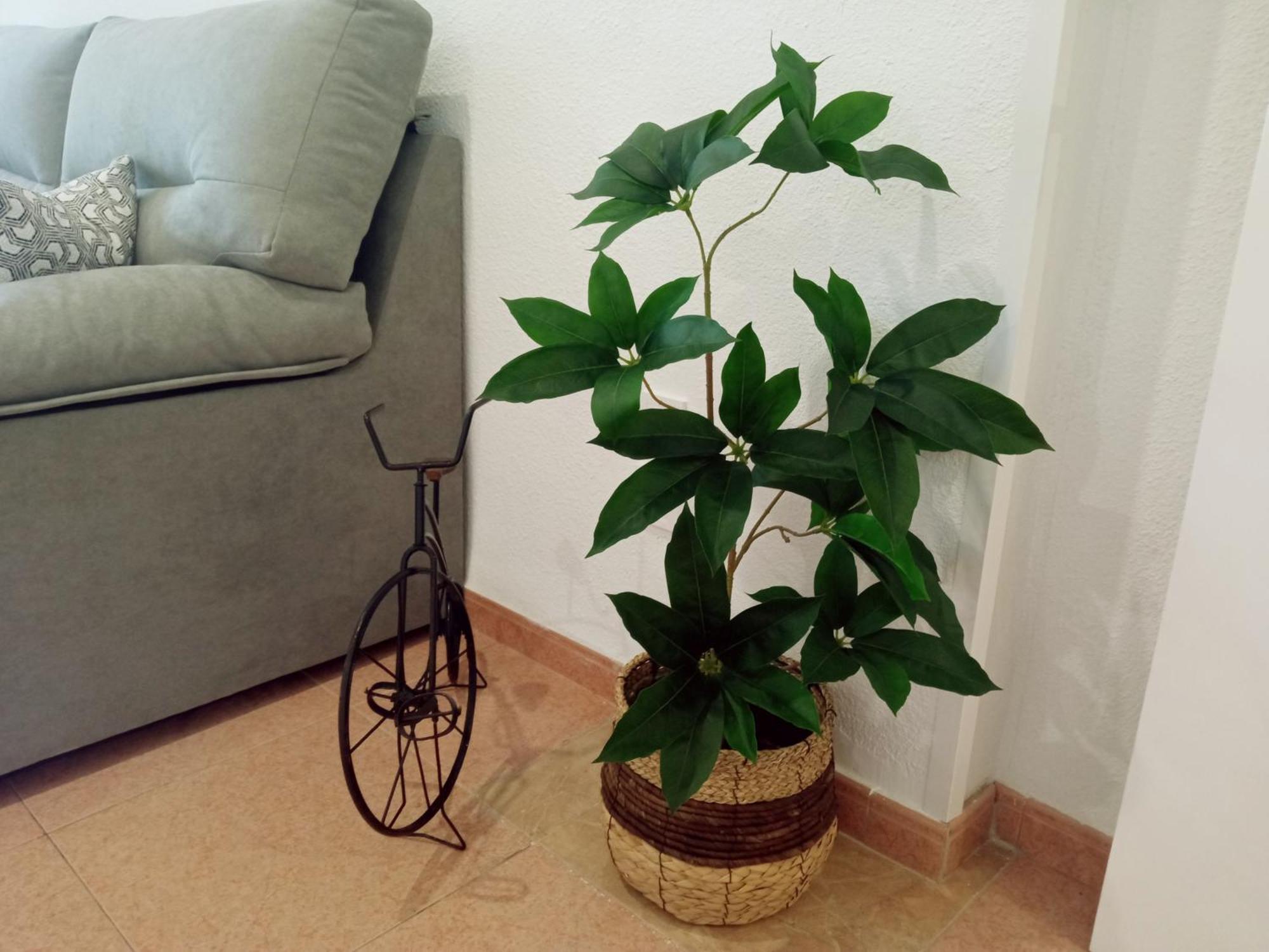 Apartamento Los Jardines De La Magdalena Cordoba Luaran gambar
